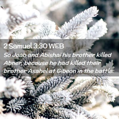 Picture 02 - 2 Samuel 3:30 WEB - So Joab and Abishai his brother killed Abner, - Bible Verse Picture