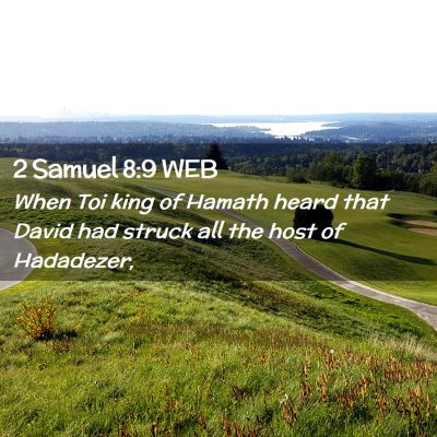 Picture 02 - 2 Samuel 8:9 WEB - When Toi king of Hamath heard that David had - Bible Verse Picture