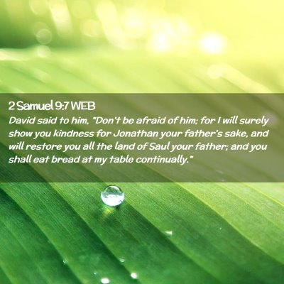 Picture 02 - 2 Samuel 9:7 WEB - David said to him, 