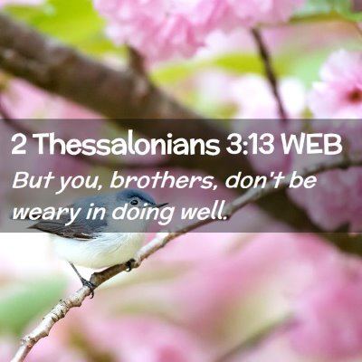 Picture 02 - 2 Thessalonians 3:13 WEB - But you, brothers, don't be weary in doing - Bible Verse Picture