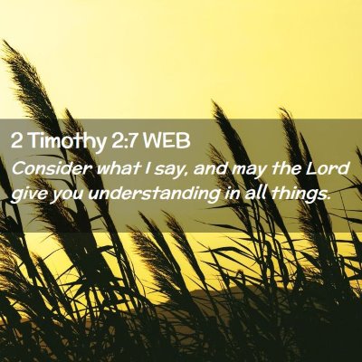 Picture 02 - 2 Timothy 2:7 WEB - Consider what I say, and may the Lord give you - Bible Verse Picture