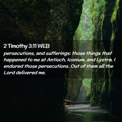 Picture 02 - 2 Timothy 3:11 WEB - persecutions, and sufferings: those things that - Bible Verse Picture