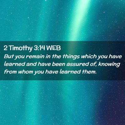Picture 02 - 2 Timothy 3:14 WEB - But you remain in the things which you have - Bible Verse Picture