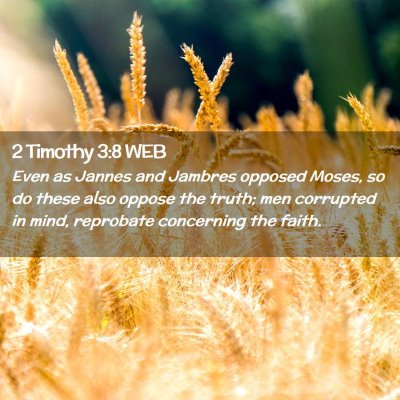 Picture 02 - 2 Timothy 3:8 WEB - Even as Jannes and Jambres opposed Moses, so do - Bible Verse Picture