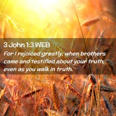 Picture 02 - 3 John 1:3 WEB - For I rejoiced greatly, when brothers came and - Bible Verse Picture
