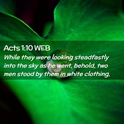 Picture 02 - Acts 1:10 WEB - While they were looking steadfastly into the sky - Bible Verse Picture
