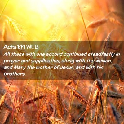 Picture 02 - Acts 1:14 WEB - All these with one accord continued steadfastly - Bible Verse Picture
