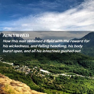 Picture 02 - Acts 1:18 WEB - Now this man obtained a field with the reward for - Bible Verse Picture