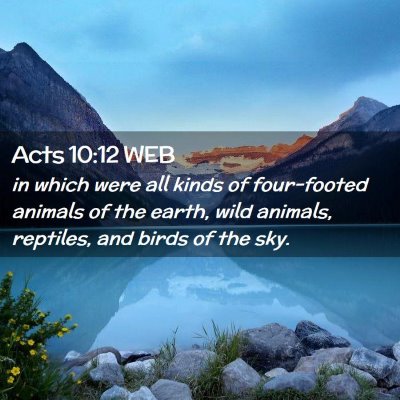 Picture 02 - Acts 10:12 WEB - in which were all kinds of four-footed animals of - Bible Verse Picture