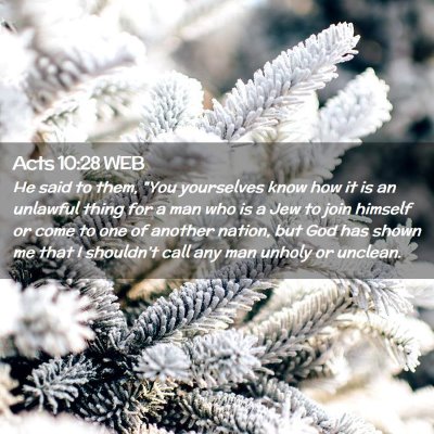 Picture 02 - Acts 10:28 WEB - He said to them, 