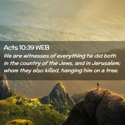 Picture 02 - Acts 10:39 WEB - We are witnesses of everything he did both in the - Bible Verse Picture