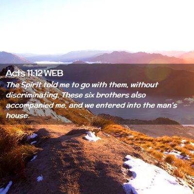 Picture 02 - Acts 11:12 WEB - The Spirit told me to go with them, without - Bible Verse Picture