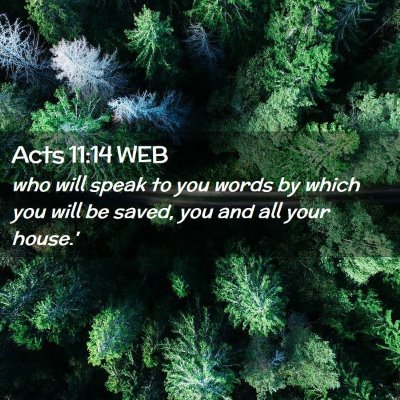 Picture 02 - Acts 11:14 WEB - who will speak to you words by which you will be - Bible Verse Picture