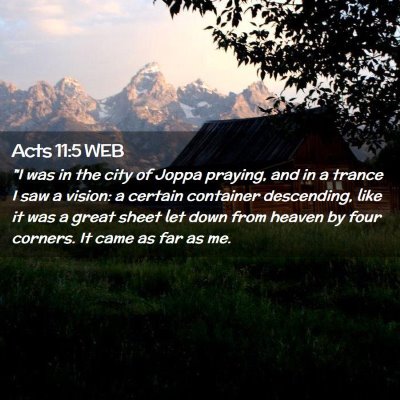 Picture 02 - Acts 11:5 WEB - 