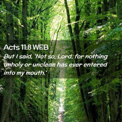 Picture 02 - Acts 11:8 WEB - But I said, 'Not so, Lord, for nothing unholy or - Bible Verse Picture