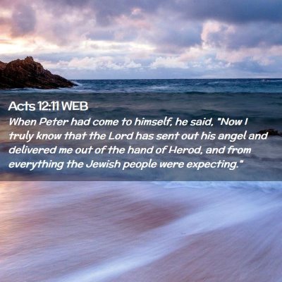 Picture 02 - Acts 12:11 WEB - When Peter had come to himself, he said, 
