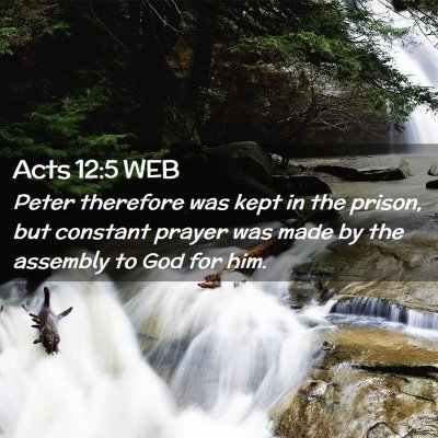 Picture 02 - Acts 12:5 WEB - Peter therefore was kept in the prison, but - Bible Verse Picture