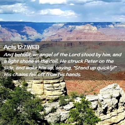 Picture 02 - Acts 12:7 WEB - And behold, an angel of the Lord stood by him, - Bible Verse Picture