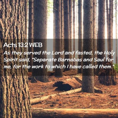 Picture 02 - Acts 13:2 WEB - As they served the Lord and fasted, the Holy - Bible Verse Picture