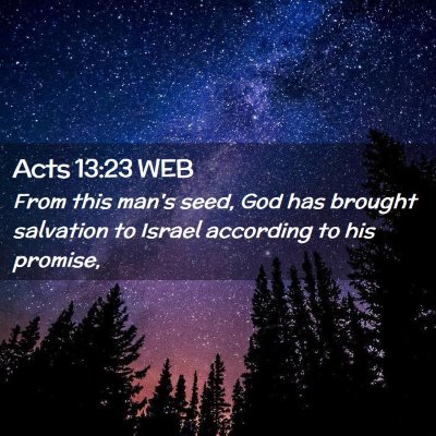 Picture 02 - Acts 13:23 WEB - From this man's seed, God has brought salvation - Bible Verse Picture
