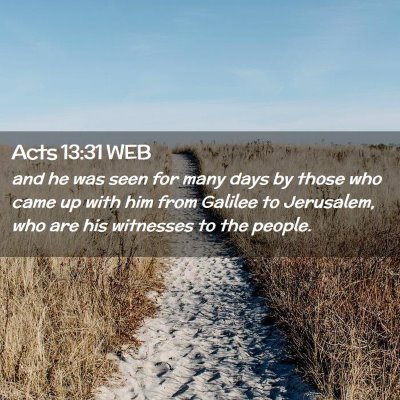 Picture 02 - Acts 13:31 WEB - and he was seen for many days by those who came - Bible Verse Picture