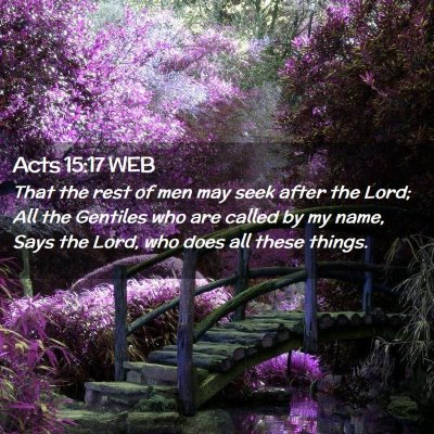 Picture 02 - Acts 15:17 WEB - That the rest of men may seek after the Lord; All - Bible Verse Picture