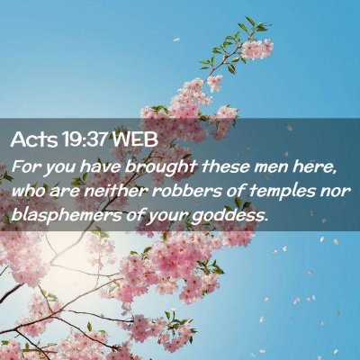 Picture 02 - Acts 19:37 WEB - For you have brought these men here, who are - Bible Verse Picture