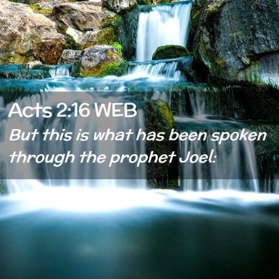 Picture 02 - Acts 2:16 WEB - But this is what has been spoken through the - Bible Verse Picture