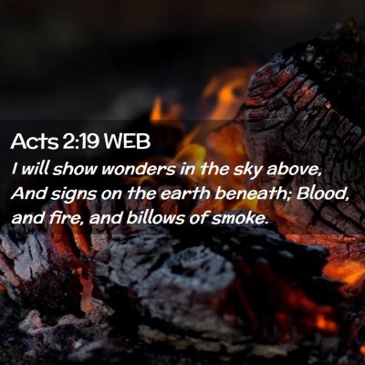 Picture 02 - Acts 2:19 WEB - I will show wonders in the sky above, And signs - Bible Verse Picture