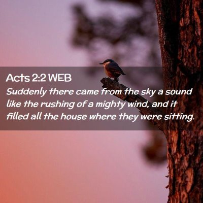 Picture 02 - Acts 2:2 WEB - Suddenly there came from the sky a sound like the - Bible Verse Picture