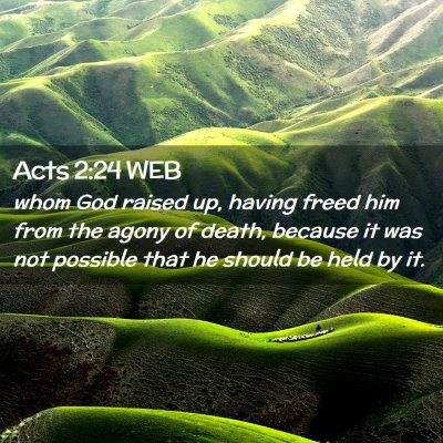 Picture 02 - Acts 2:24 WEB - whom God raised up, having freed him from the - Bible Verse Picture