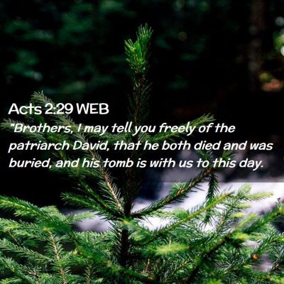 Picture 02 - Acts 2:29 WEB - 