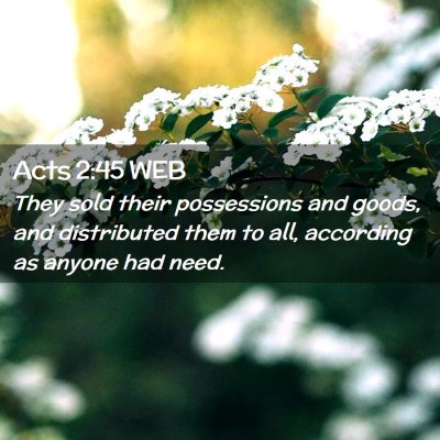 Picture 02 - Acts 2:45 WEB - They sold their possessions and goods, and - Bible Verse Picture
