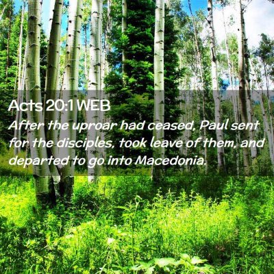 Picture 02 - Acts 20:1 WEB - After the uproar had ceased, Paul sent for the - Bible Verse Picture