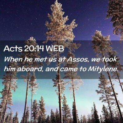 Picture 02 - Acts 20:14 WEB - When he met us at Assos, we took him aboard, and - Bible Verse Picture