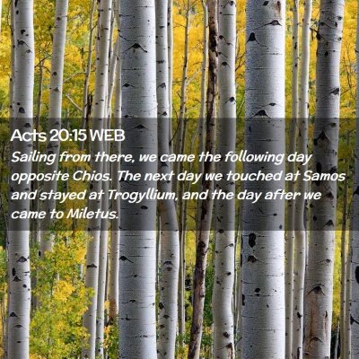Picture 02 - Acts 20:15 WEB - Sailing from there, we came the following day - Bible Verse Picture