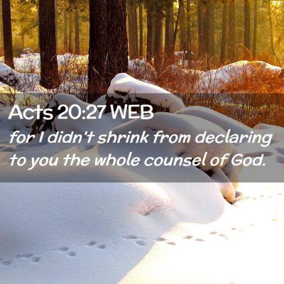 Picture 02 - Acts 20:27 WEB - for I didn't shrink from declaring to you the - Bible Verse Picture