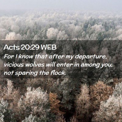 Picture 02 - Acts 20:29 WEB - For I know that after my departure, vicious - Bible Verse Picture