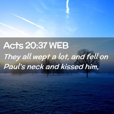 Picture 02 - Acts 20:37 WEB - They all wept a lot, and fell on Paul's neck and - Bible Verse Picture
