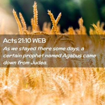 Picture 02 - Acts 21:10 WEB - As we stayed there some days, a certain prophet - Bible Verse Picture
