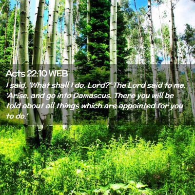 Picture 02 - Acts 22:10 WEB - I said, 'What shall I do, Lord?' The Lord said to - Bible Verse Picture