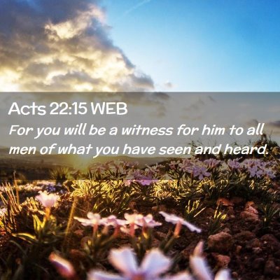 Picture 02 - Acts 22:15 WEB - For you will be a witness for him to all men of - Bible Verse Picture