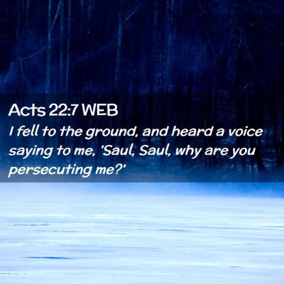 Picture 02 - Acts 22:7 WEB - I fell to the ground, and heard a voice saying to - Bible Verse Picture