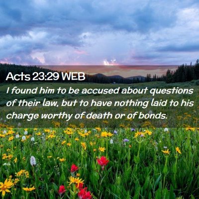 Picture 02 - Acts 23:29 WEB - I found him to be accused about questions of - Bible Verse Picture