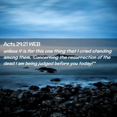 Picture 02 - Acts 24:21 WEB - unless it is for this one thing that I cried - Bible Verse Picture