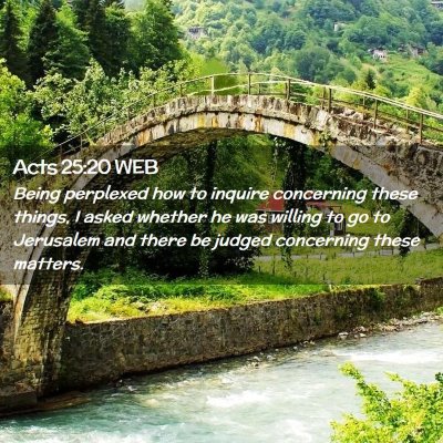 Picture 02 - Acts 25:20 WEB - Being perplexed how to inquire concerning these - Bible Verse Picture