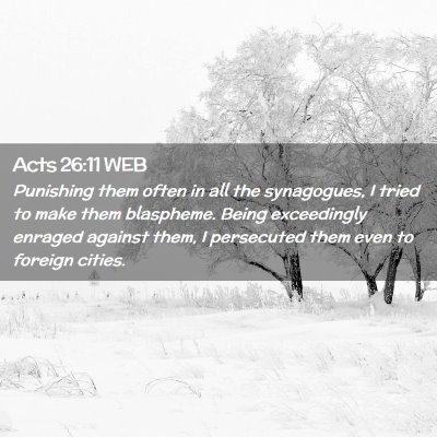 Picture 02 - Acts 26:11 WEB - Punishing them often in all the synagogues, I - Bible Verse Picture