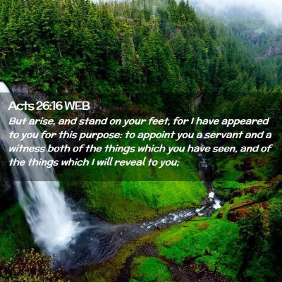 Picture 02 - Acts 26:16 WEB - But arise, and stand on your feet, for I have - Bible Verse Picture