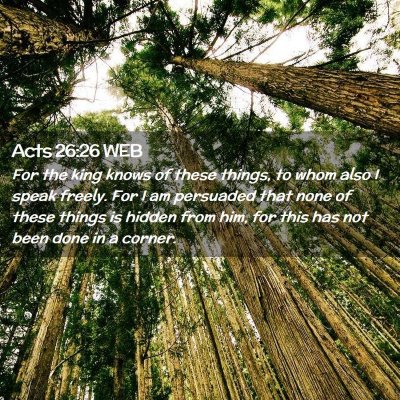Picture 02 - Acts 26:26 WEB - For the king knows of these things, to whom also - Bible Verse Picture