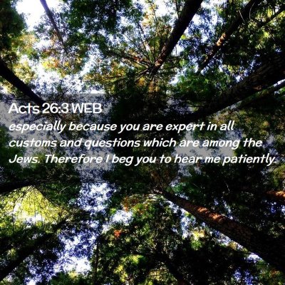 Picture 02 - Acts 26:3 WEB - especially because you are expert in all customs - Bible Verse Picture